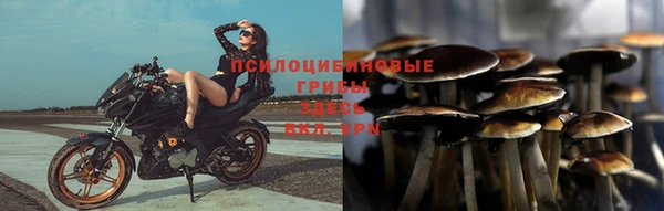 мяу мяу мука Арсеньев